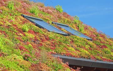 Rosewell living roof systems