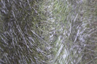 Rosewell fibreglass roof work