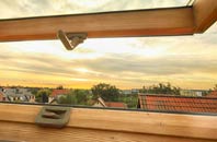 rated Rosewell roof window companies